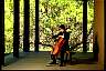 cellist5.jpg