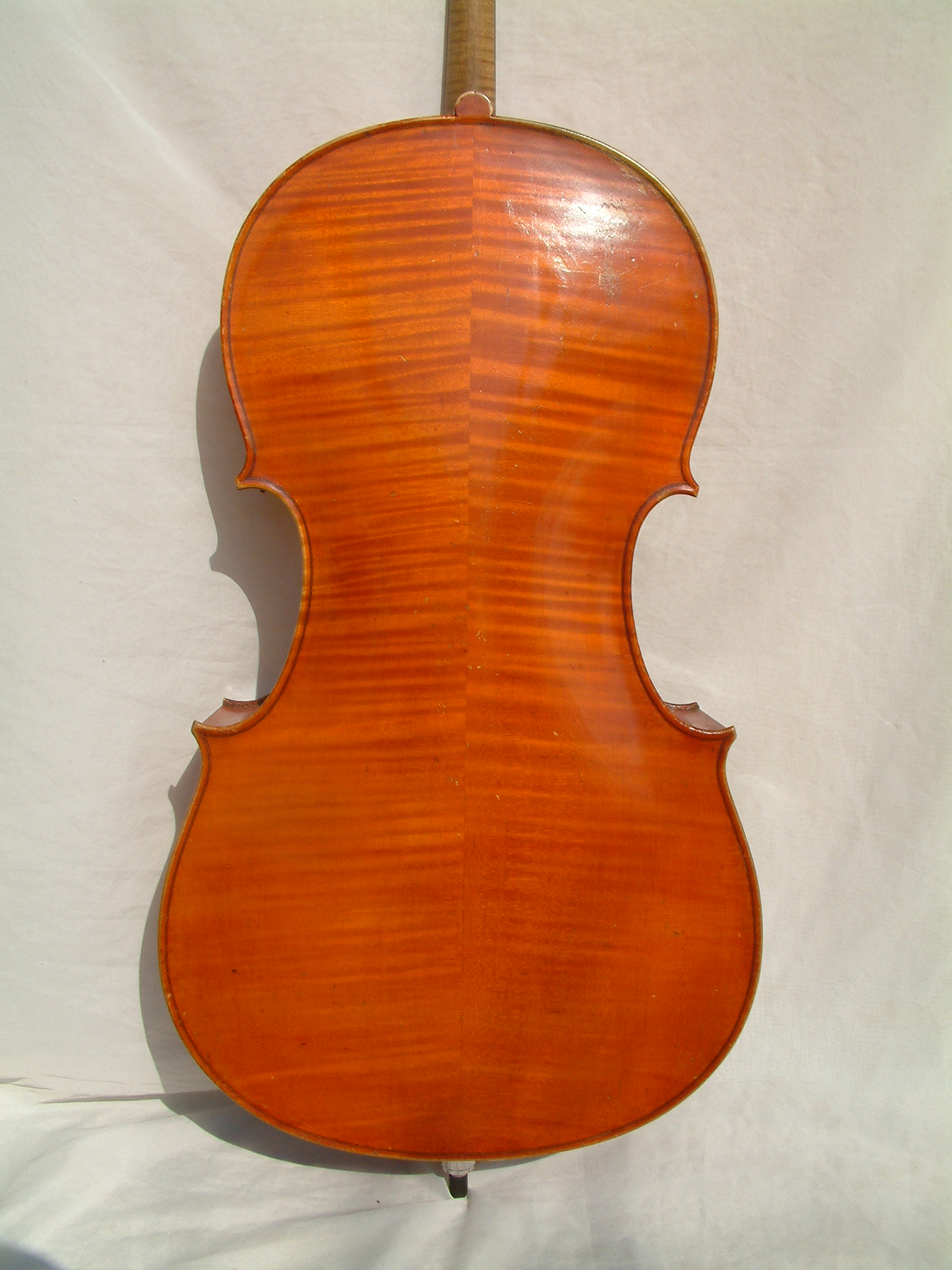 Farotti Celeste Cello 1903 Back Farotti Celeste Cello 1903 Back