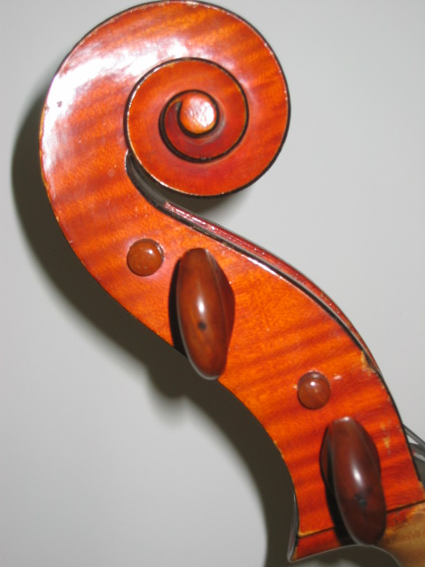 Farotti Celeste Cello 1903 Scroll Farotti Celeste Cello 1903 Scroll