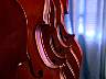 cellos1.jpg